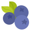 Blueberry