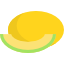 Melon