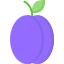 Plum